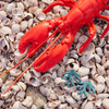 Blue Lacquer Coral Earrings